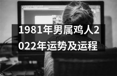 <h3>1981年男属鸡人2025年运势及运程