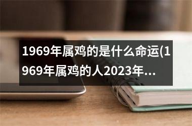 1969年属鸡的是什么命运(1969年属鸡的人2025年的运势及运程)