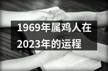 1969年属鸡人在2025年的运程