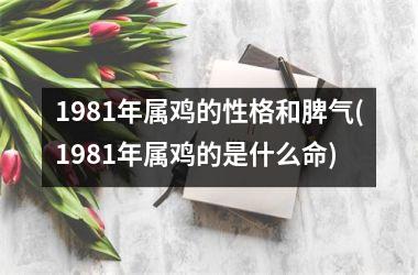 1981年属鸡的性格和脾气(1981年属鸡的是什么命)