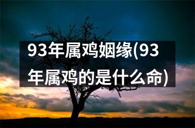 <h3>93年属鸡姻缘(93年属鸡的是什么命)