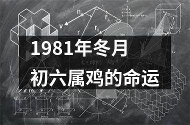 1981年冬月初六属鸡的命运