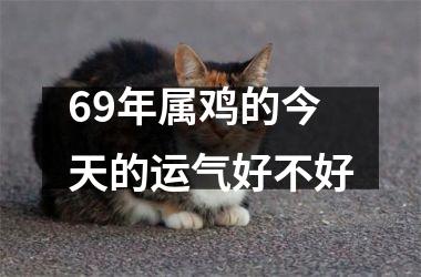 69年属鸡的今天的运气好不好