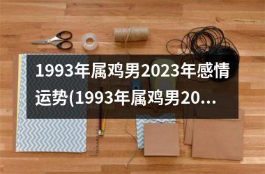 1993年属鸡男2025年感情运势(1993年属鸡男2025年贵人属相)