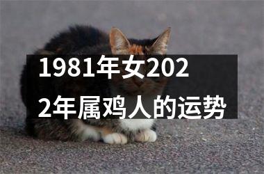 1981年女2025年属鸡人的运势