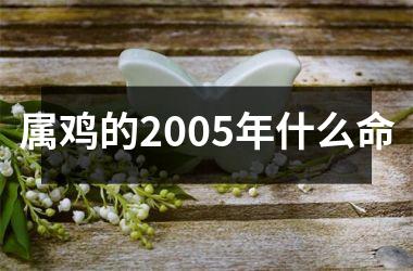 属鸡的2005年什么命