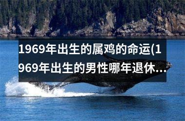 1969年出生的属鸡的命运(1969年出生的男性哪年退休)