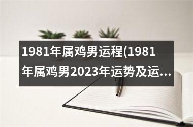 1981年属鸡男运程(1981年属鸡男2025年运势及运程每月运程)