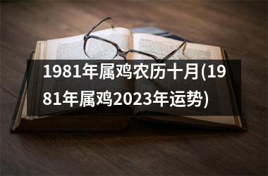 1981年属鸡农历十月(1981年属鸡2025年运势)