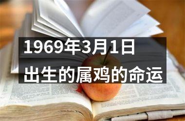 1969年3月1日出生的属鸡的命运