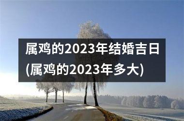 <h3>属鸡的2025年结婚吉日(属鸡的2025年多大)