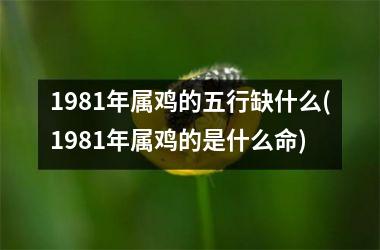 <h3>1981年属鸡的五行缺什么(1981年属鸡的是什么命)