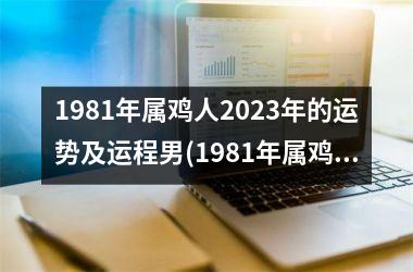 1981年属鸡人2025年的运势及运程男(1981年属鸡人2025年的全年运势男性)