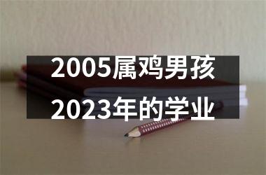 <h3>2005属鸡男孩2025年的学业