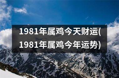 <h3>1981年属鸡今天财运(1981年属鸡今年运势)