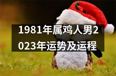 1981年属鸡人男2025年运势及运程