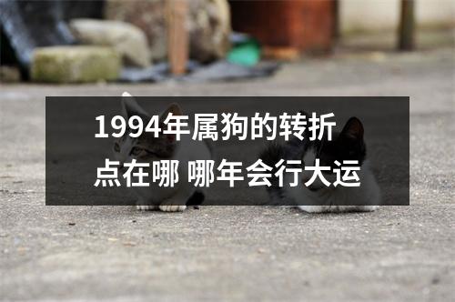 1994年属狗的转折点在哪哪年会行大运