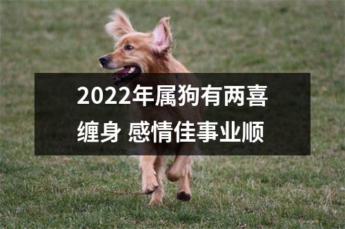 2022年属狗有两喜缠身感情佳事业顺