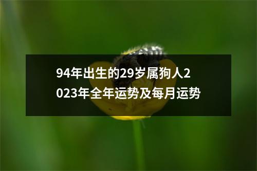 94年出生的29岁属狗人2025年全年运势及每月运势