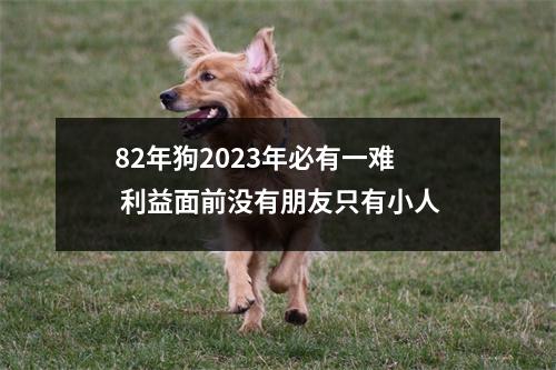 82年狗2025年必有一难利益面前没有朋友只有小人