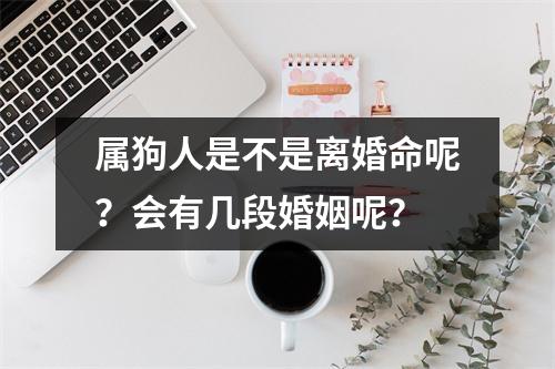 属狗人是不是离婚命呢？会有几段婚姻呢？