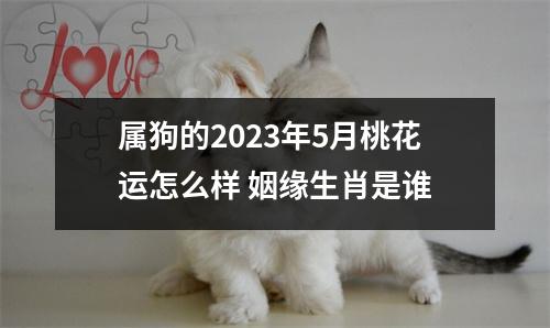 属狗的2025年5月桃花运怎么样姻缘生肖是谁