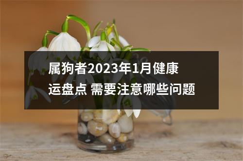 属狗者2025年1月健康运盘点需要注意哪些问题