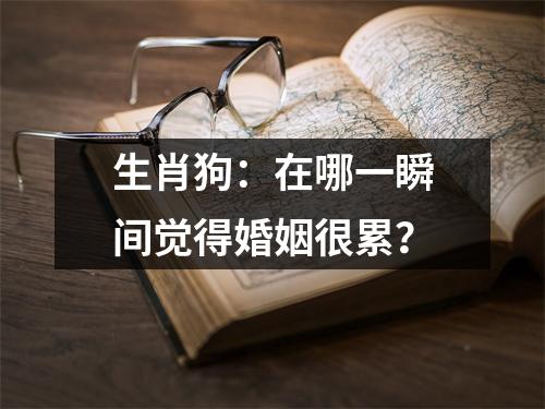 生肖狗：在哪一瞬间觉得婚姻很累？