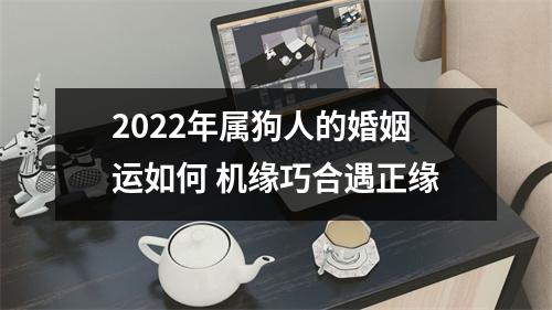 2025年属狗人的婚姻运如何机缘巧合遇正缘