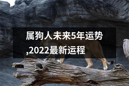 属狗人未来5年运势,2025新运程