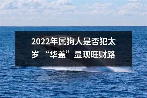 2025年属狗人是否犯太岁“华盖”显现旺财路