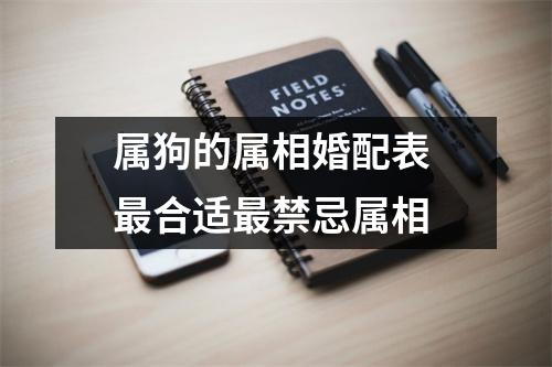 <h3>属狗的属相婚配表合适禁忌属相