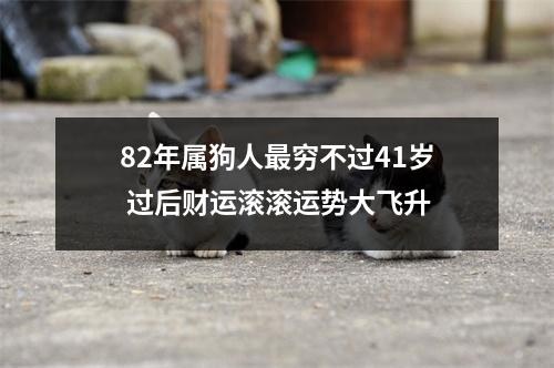 82年属狗人穷不过41岁过后财运滚滚运势大飞升