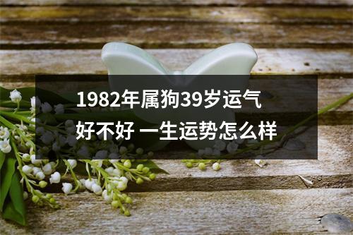 <h3>1982年属狗39岁运气好不好一生运势怎么样