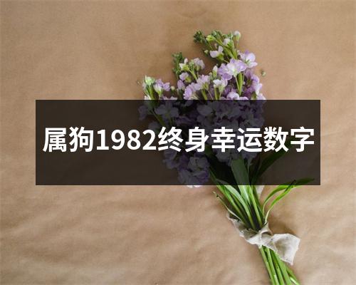 <h3>属狗1982终身幸运数字