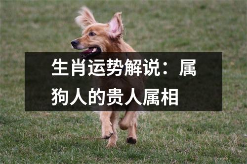 生肖运势解说：属狗人的贵人属相