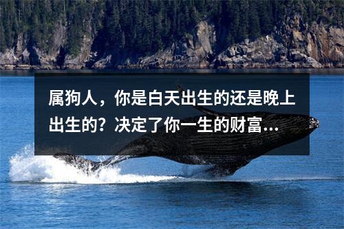 属狗人，你是白天出生的还是晚上出生的？决定了你一生的财富！