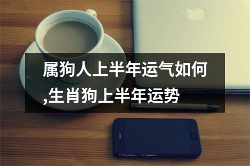 属狗人上半年运气如何,生肖狗上半年运势