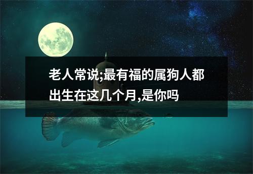 <h3>老人常说;有福的属狗人都出生在这几个月,是你吗