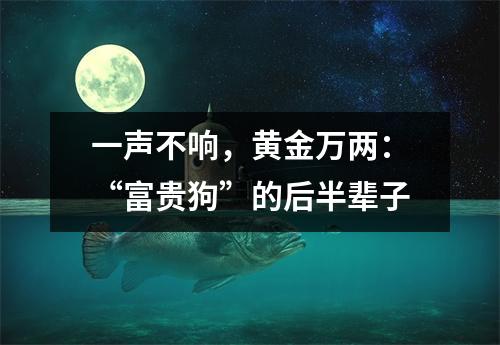 一声不响，黄金万两：“富贵狗”的后半辈子