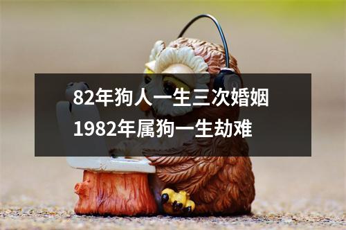 82年狗人一生三次婚姻1982年属狗一生劫难