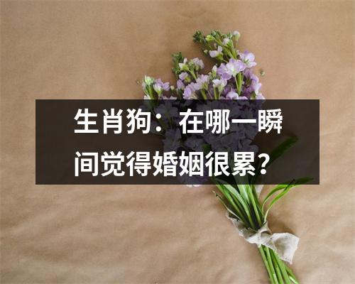 生肖狗：在哪一瞬间觉得婚姻很累？