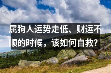 属狗人运势走低、财运不顺的时候，该如何自救？