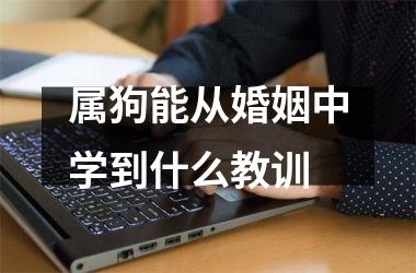 属狗能从婚姻中学到什么教训