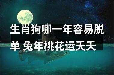 生肖狗哪一年容易脱单 兔年桃花运夭夭