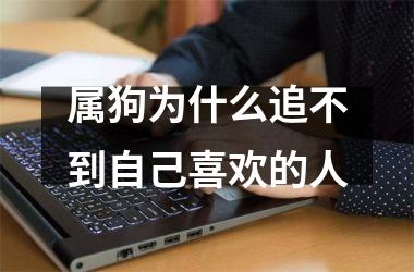 属狗为什么追不到自己喜欢的人