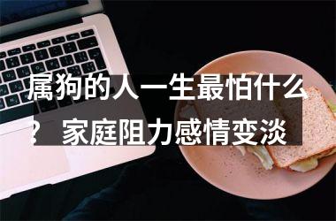 属狗的人一生怕什么？ 家庭阻力感情变淡