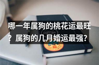 哪一年属狗的桃花运旺？属狗的几月婚运强？