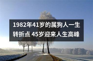 1982年41岁的属狗人一生转折点 45岁迎来人生高峰