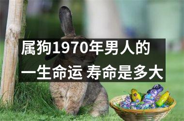 属狗1970年男人的一生命运 寿命是多大